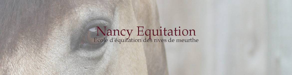 Nancy Equitation
